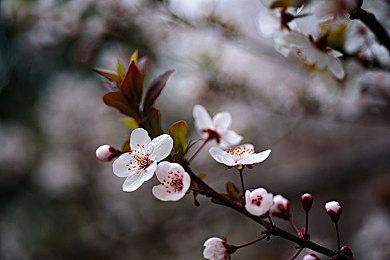 《GTA6》全局光照和反射将混合使用光追解决方案